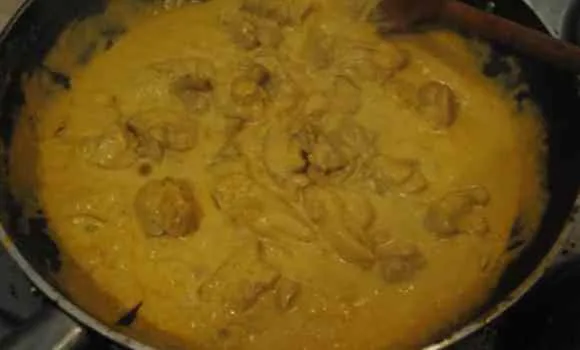 chicken korma student recipe 2