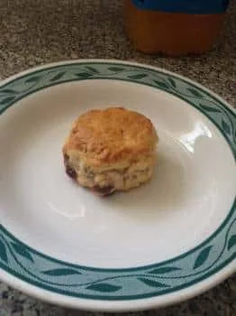 Easy fruit scones