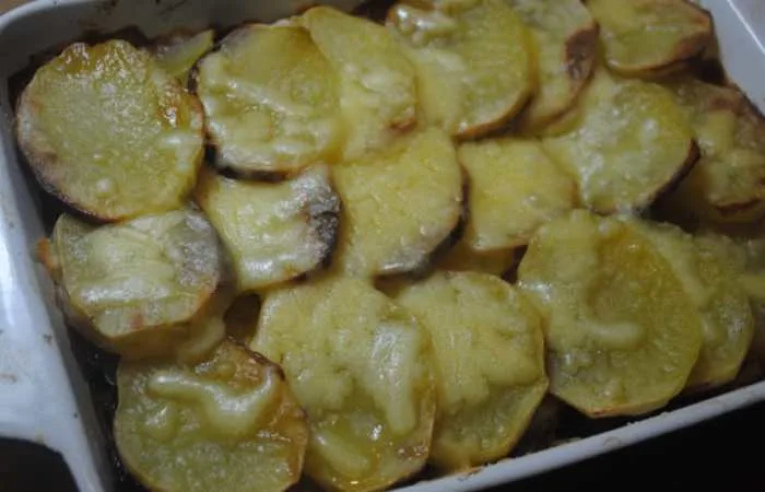 student recipes food meals 16