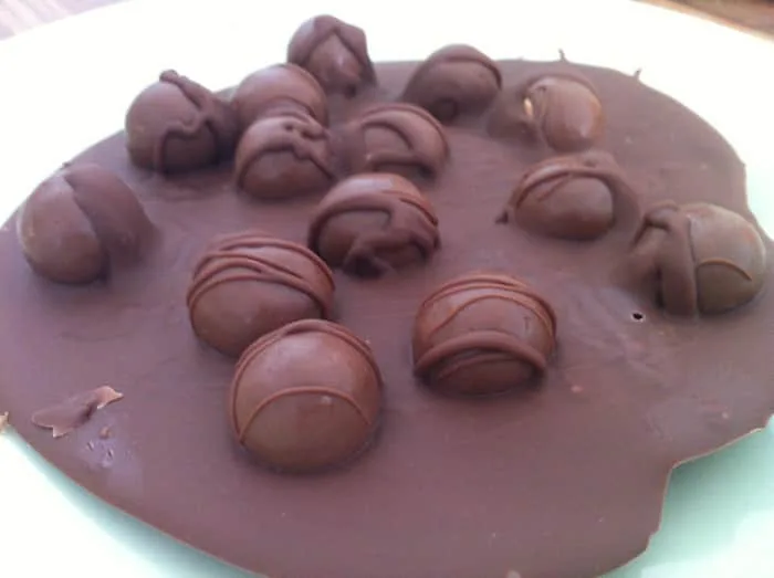 Malteaser chocolate disc