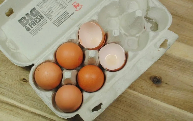 Student Survival Guide: 12 must-know food storage hacks to avoid waste